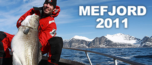 Mefjord 2011