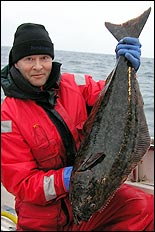 En liten h&auml;lle