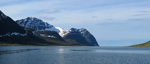 Arn&oslash;ya