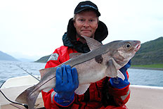 Fin Kolja