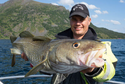 David med fin torsk