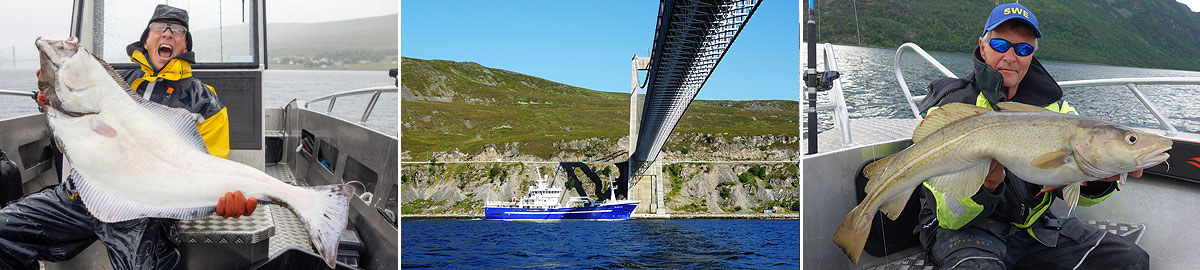 Neverfjord Naturopplevelse
